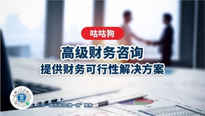 高級財(cái)務(wù)咨詢
