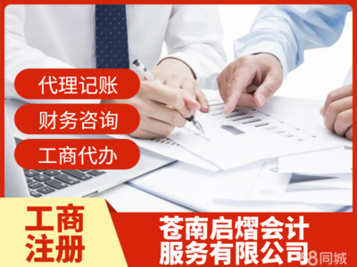蒼南工商注冊(cè)與財(cái)務(wù)咨詢服務(wù)全攻略